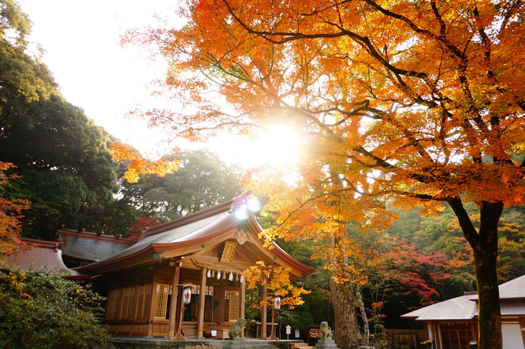 寶滿宮竈門神社