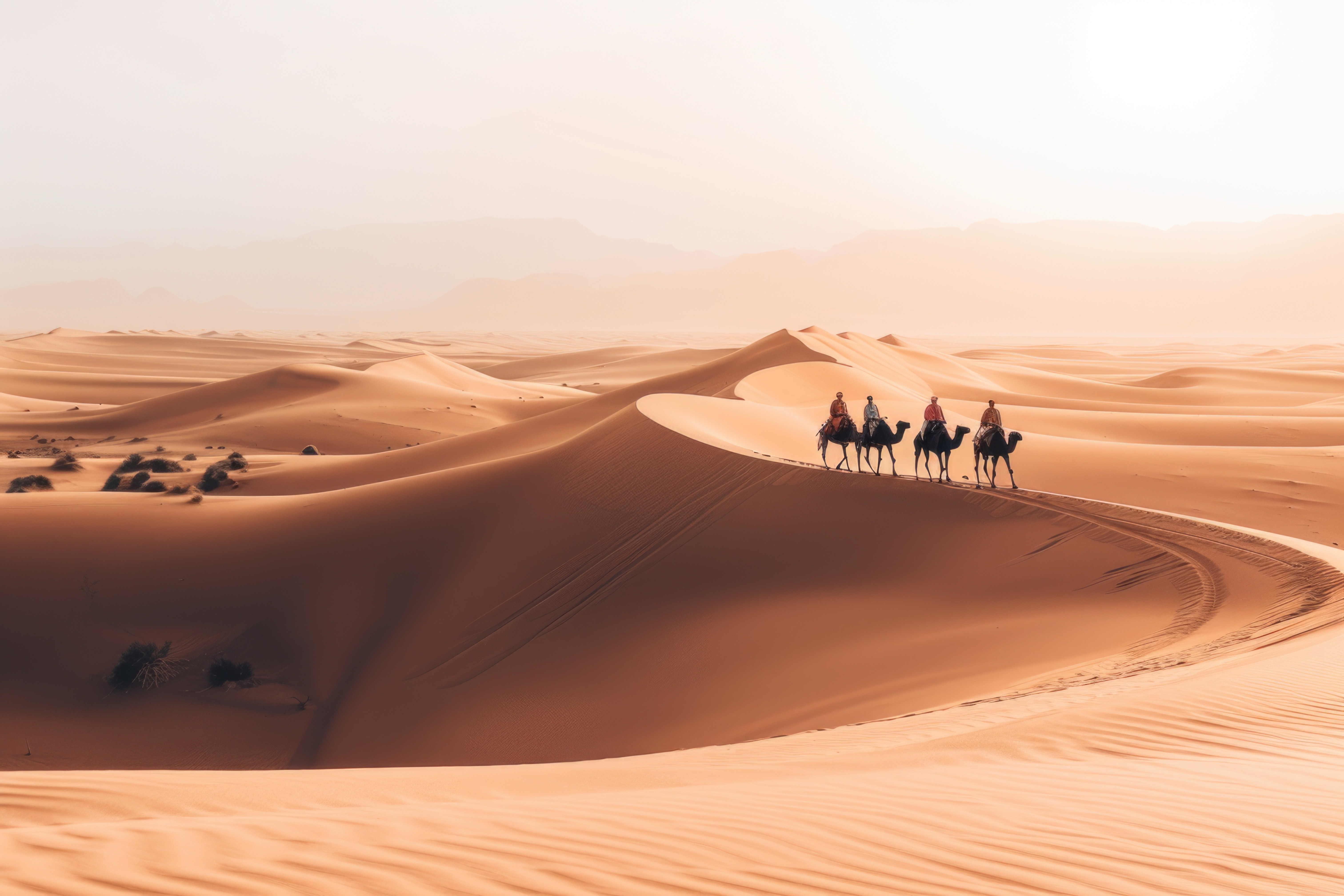 撒哈拉沙漠駱駝騎行 Camel Ride in Sahara Desert