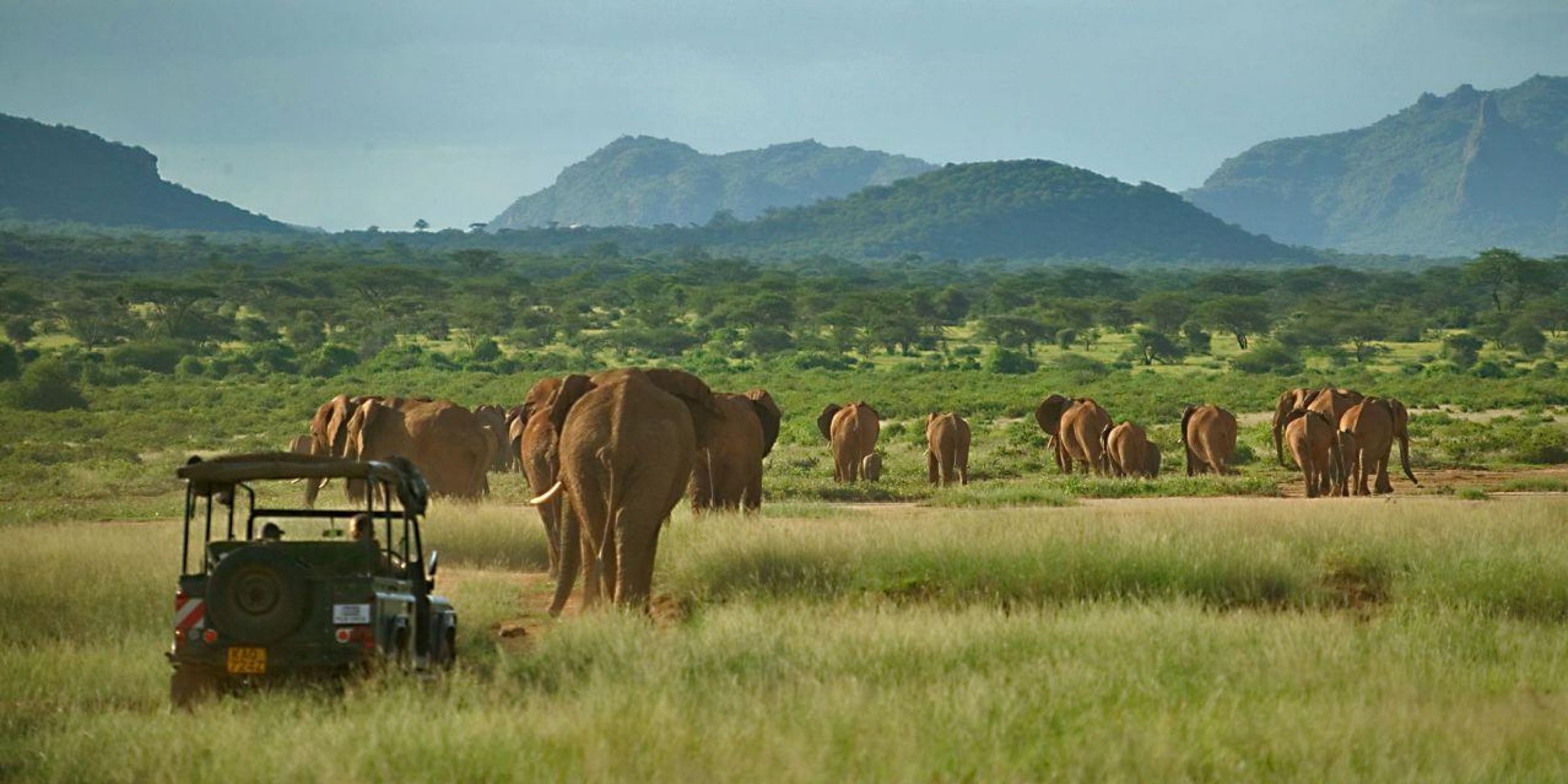 山布魯國家保護區 Samburu National Reserve