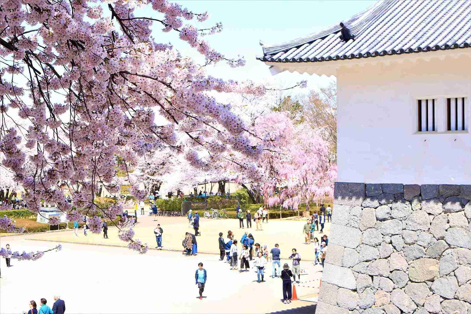 山形城舊址（霞城公園）