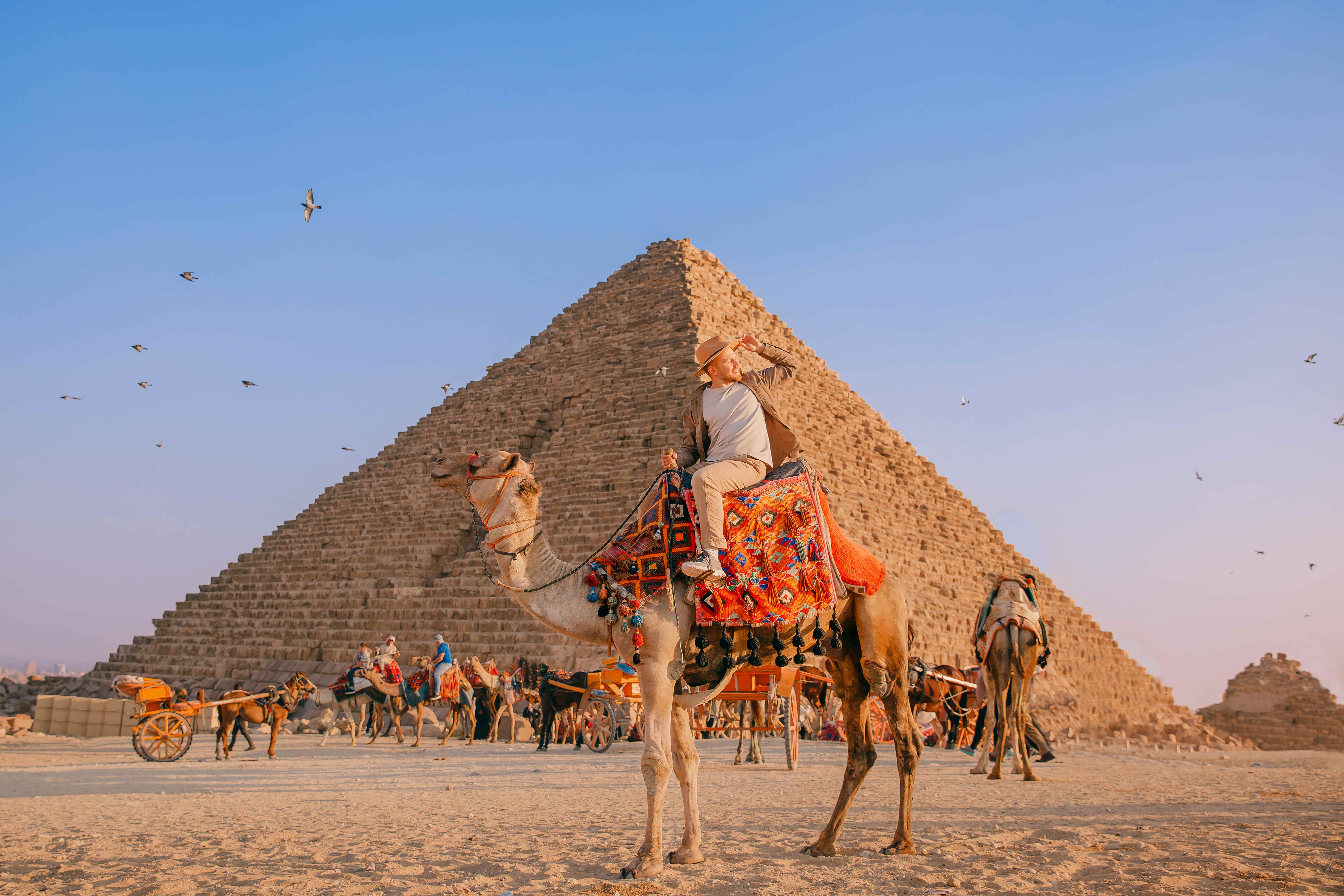 金字塔駱駝騎行 Pyramid Camel Ride