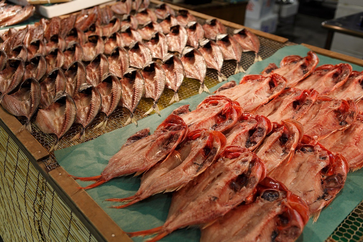 白浜 Toretore 魚獲市場