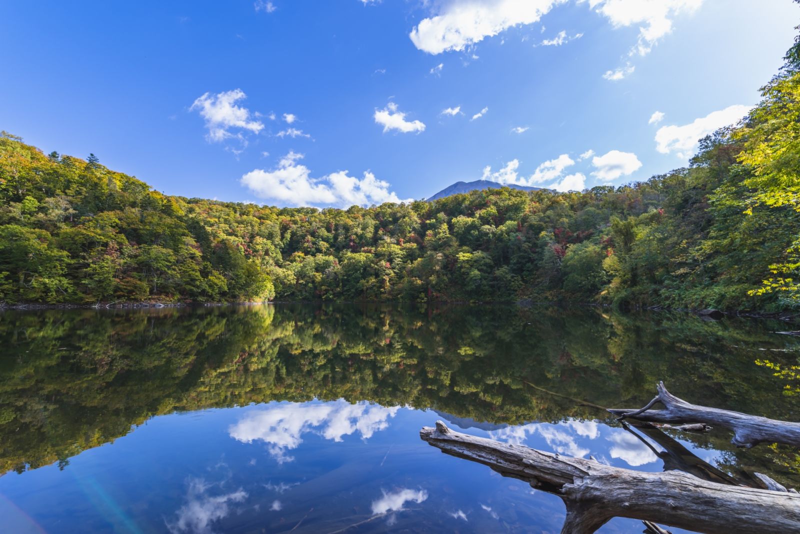 半月湖畔自然公園